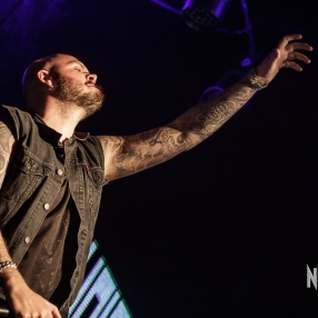 soilwork-nepenthe-1