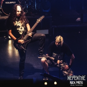 nepenthe_asspera_52