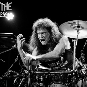 Nepenthe_Exciter-3