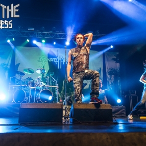 Nepenthe_SonataArctica-4