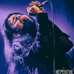 Nepenthe_Ariadna_Project_09