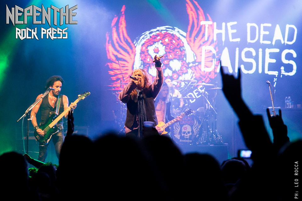 TheDeadDaisies-12