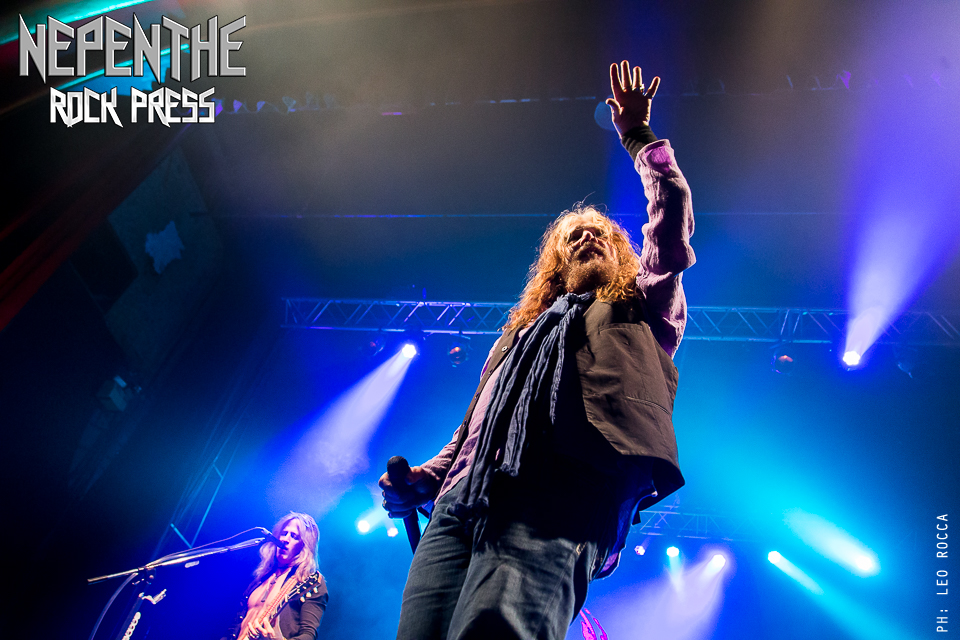 TheDeadDaisies-5