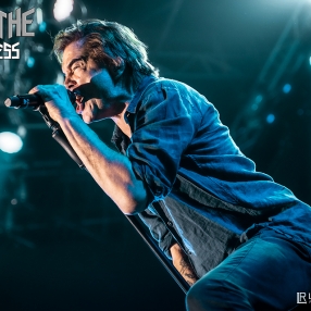 NepentheRockPress_DieTotenHosen_17