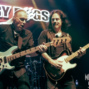NepentheRockPress_MaruDebiassi_WineryDogs_30