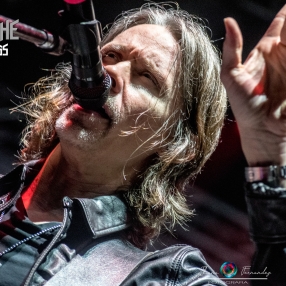 ALTER_BRIDGE_6