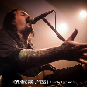 Evergrey 13