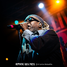 living_colour_nepenthe_08