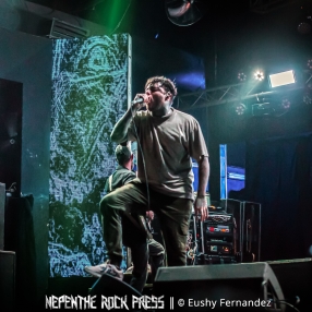 Chelsea Grin 8