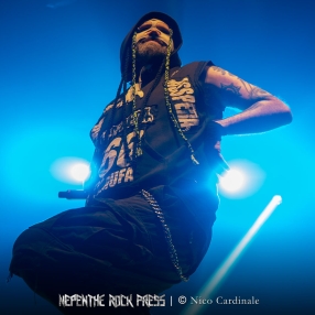 NepentheRockPress_Nico-Cardinale_Asspera_Portada