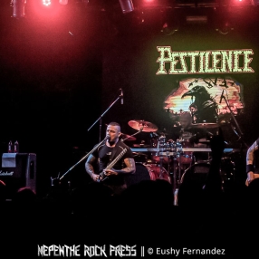 Pestilence -NRP 1