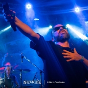 NepentheRockPress_Nico-Cardinale_Arraigo_00-Portada