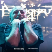 NepentheRockPress_Nico-Cardinale_00-Portada_Psychonaut-4