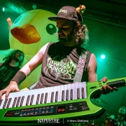 NepentheRockPress_MaruDebiassi_Alestorm_24