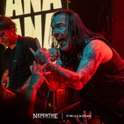 NepentheRockPress_Nico-Cardinale_Alesana_00