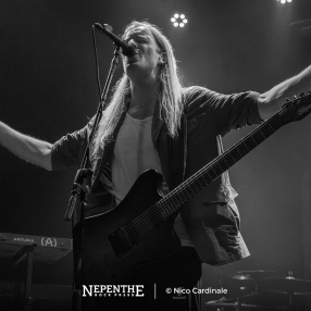 NepentheRockPress_Nico-Cardinale_VOLA_19