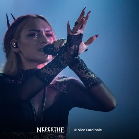 NepentheRockPress_Nico-Cardinale_Seven-Spires_00-Portada