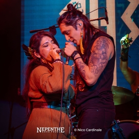 NepentheRockPress_Nico-Cardinale_Abak_17